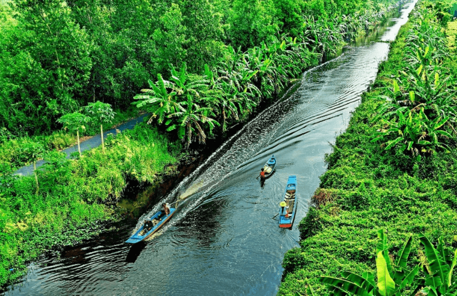 DELTA DEL MEKONG