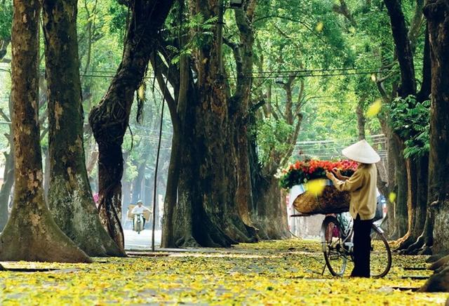 Hanoi-4.jpg
