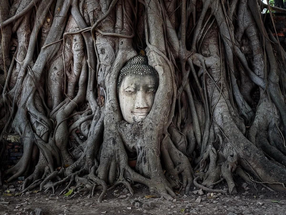 Wat Mahathat-1.jpg